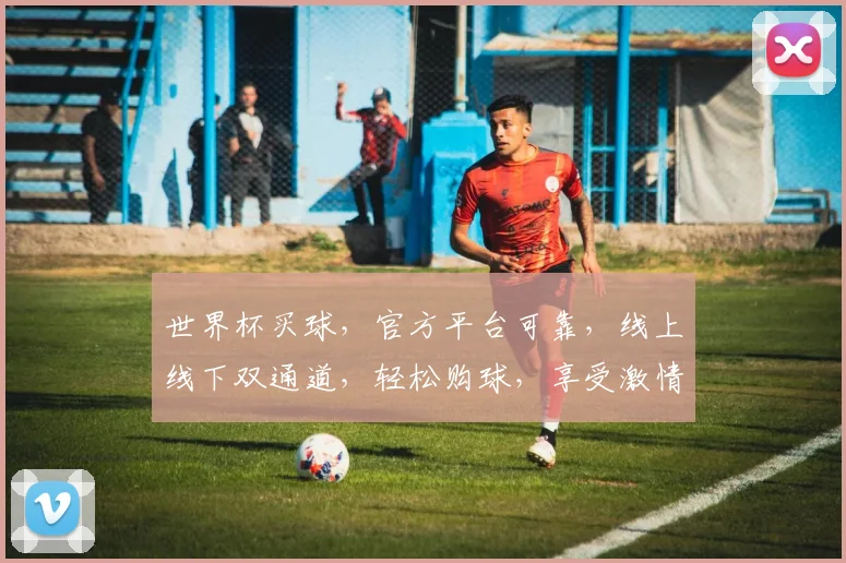 世界杯买球，官方平台可靠，线上线下双通道，轻松购球，享受激情
