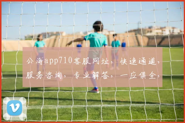 公海app710客服网址，快速通道，服务咨询，专业解答，一应俱全，必看攻略