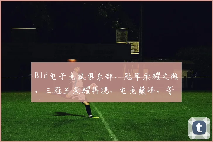 Bld电子竞技俱乐部，冠军荣耀之路，三冠王荣耀再现，电竞巅峰，等你来战