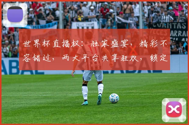 世界杯直播权：独家盛宴，精彩不容错过，两大平台共享狂欢，锁定激情瞬间